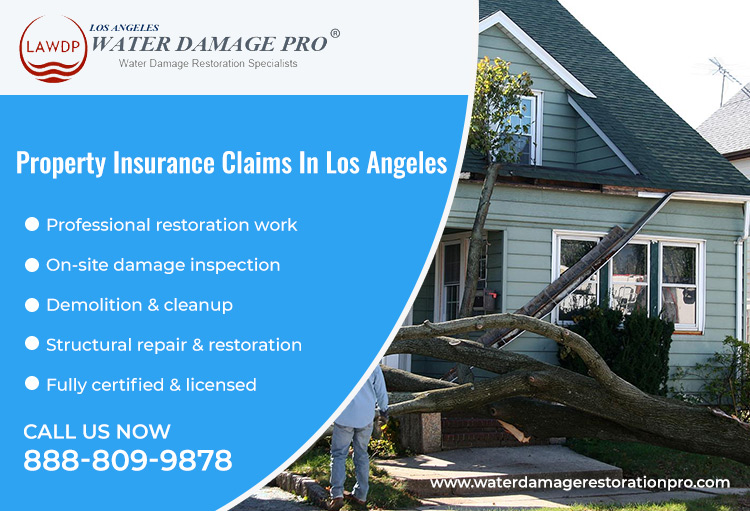 Insurance Claims In Los Angeles