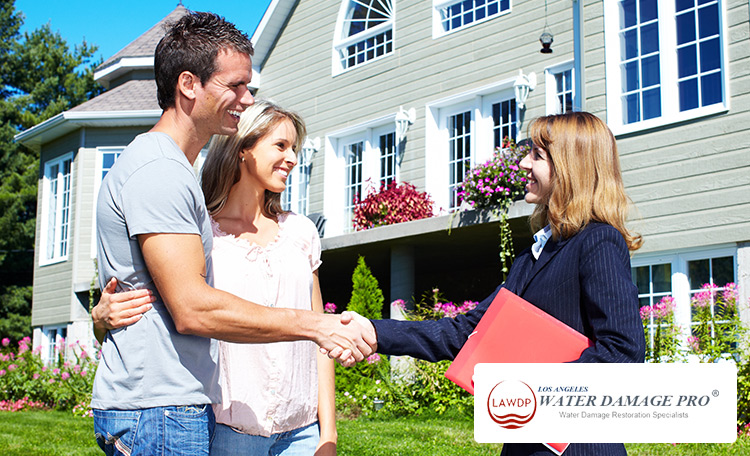 Property Damage Insurance Claims