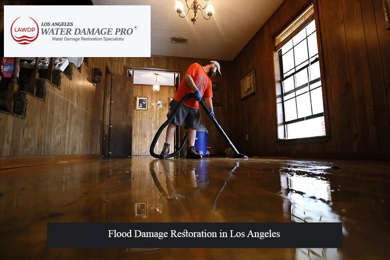 Flood Damage Space Cleaning