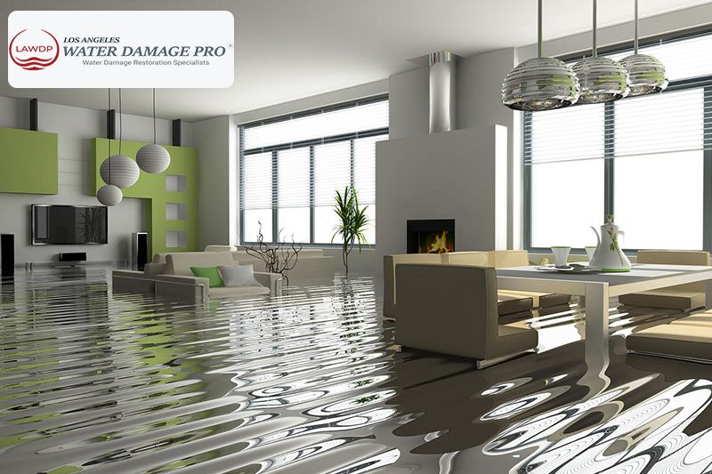 Emergency Water Damage Restoration for Dining Rooms