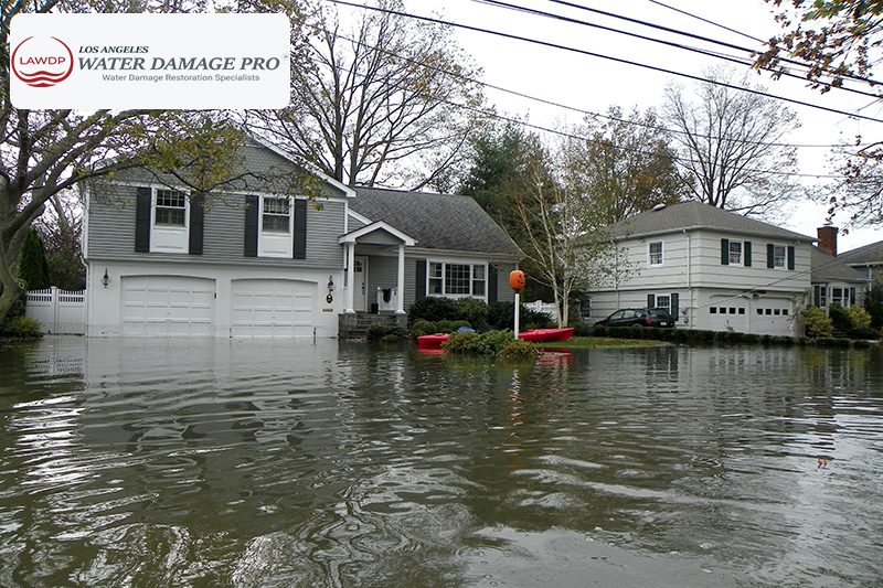 Emergency Water Damage Restoration for Exteriors