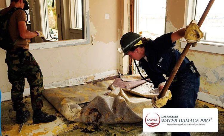 Fire Damage Cleanup Process