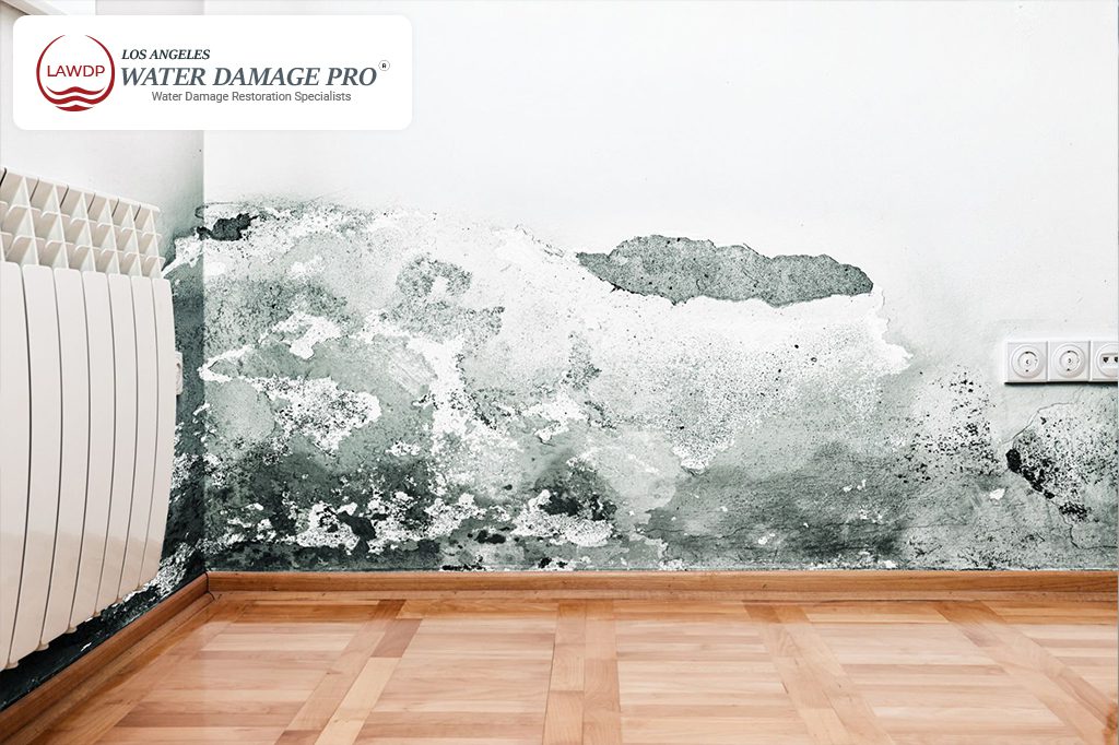 Living Room Water Damage Restoration Insurance Claims