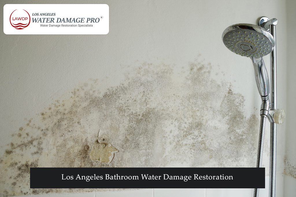 Los Angeles Bathroom Water Damage Restoration