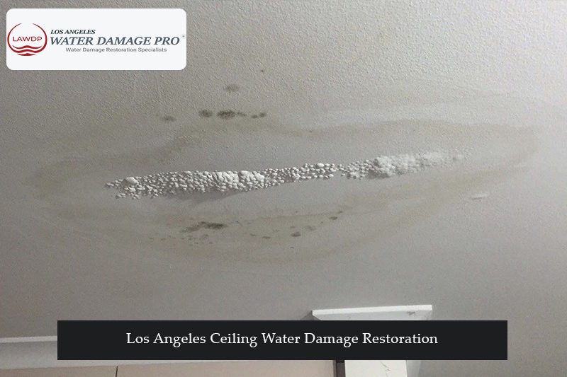 Los Angeles Ceiling Water Damage Restoration