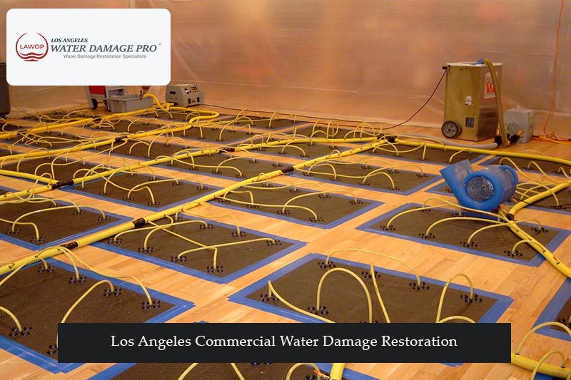 Los Angeles Commercial Water Damage Restoration