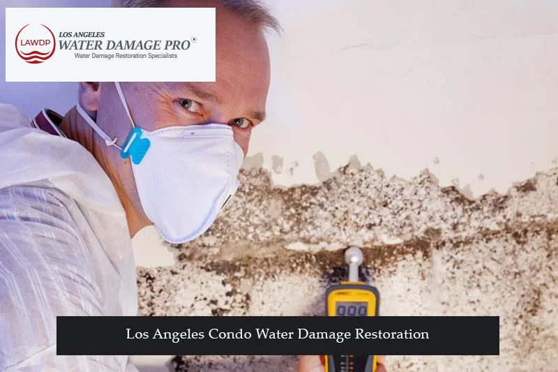 Los Angeles Condo Water Damage Restoration