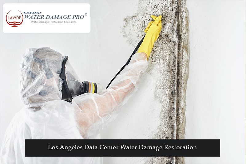 Los Angeles Data Center Water Damage Restoration