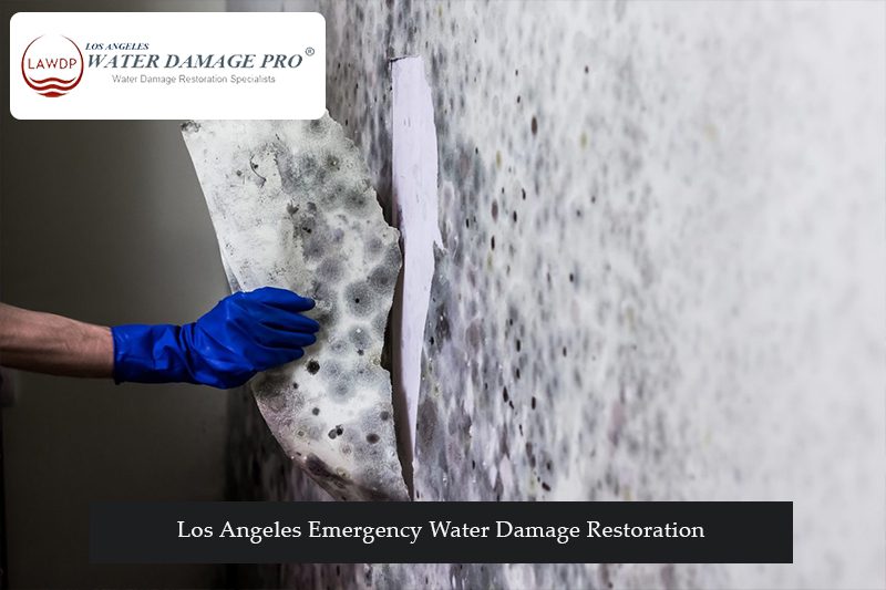 Los Angeles Emergency Water Damage Restoration