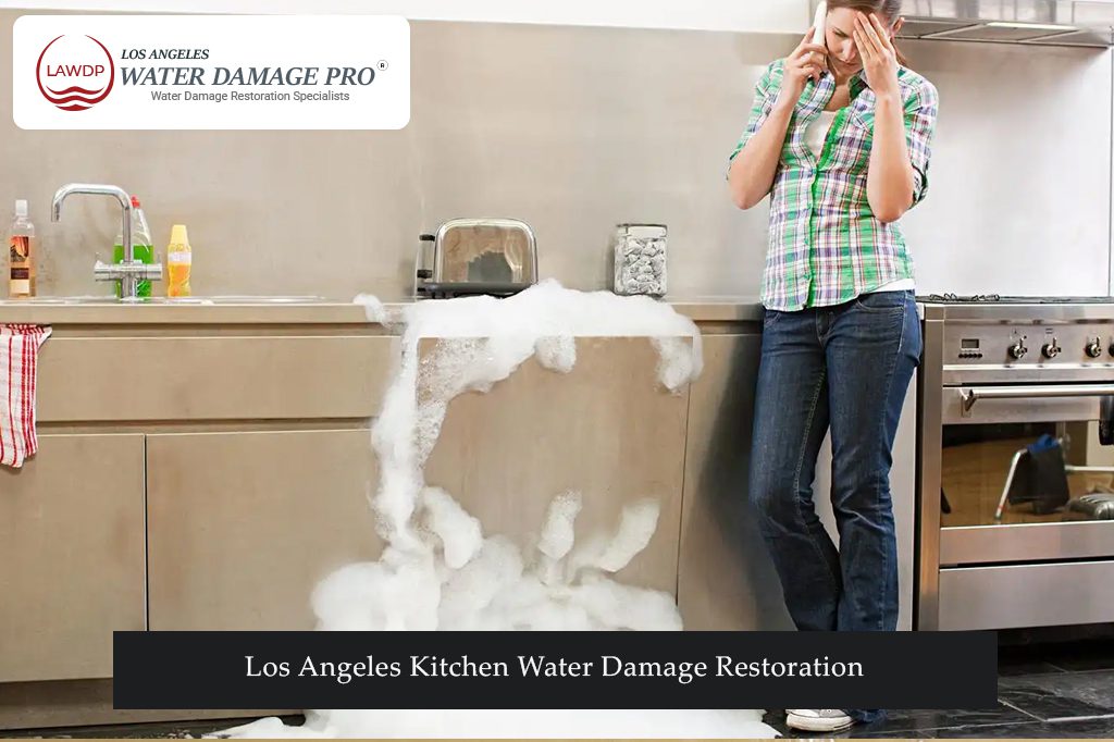 Los Angeles Kitchen Water Damage Restoration