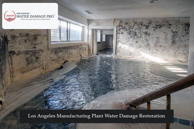 Los Angeles Manufacturing Plant Water Damage Restoration
