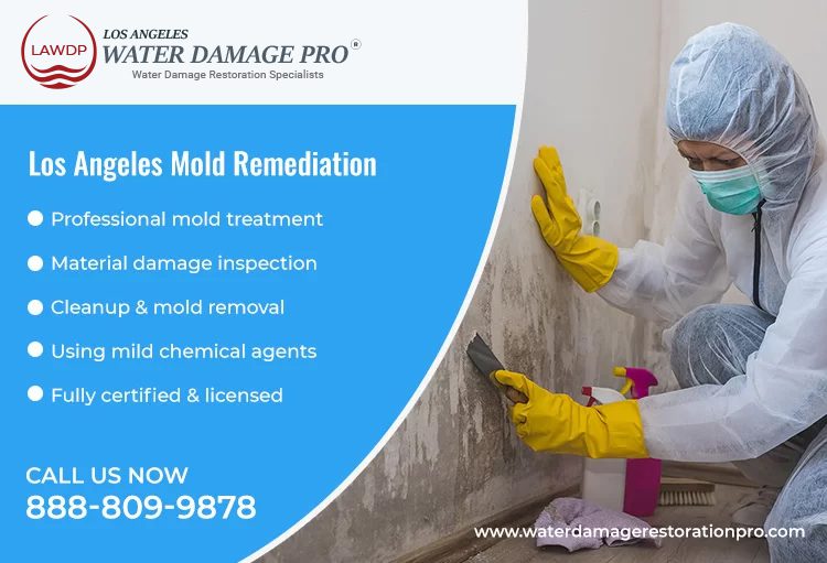 Los Angeles Mold Remediation