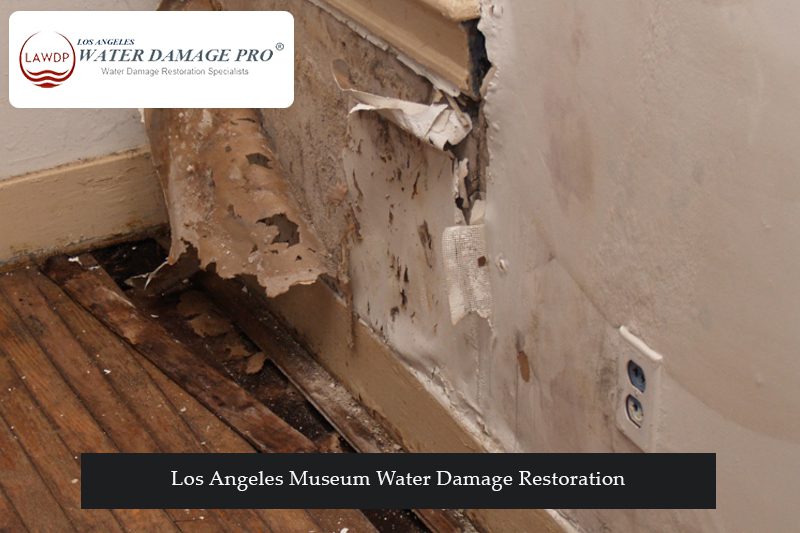 Los Angeles Museum Water Damage Restoration