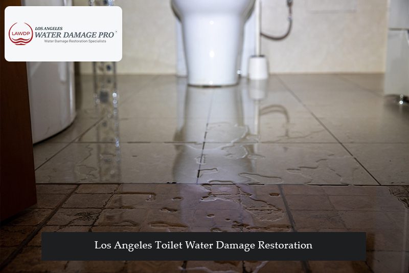 Los Angeles Toilet Water Damage Restoration