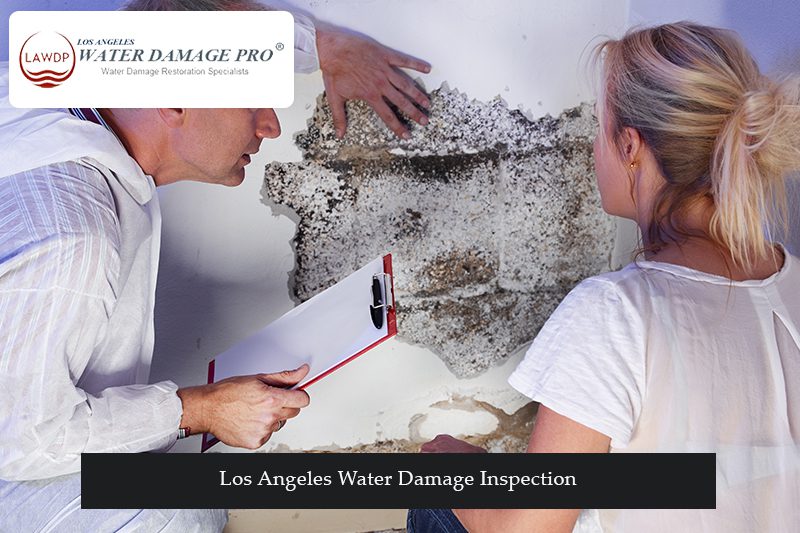 Los Angeles Water Damage Inspection