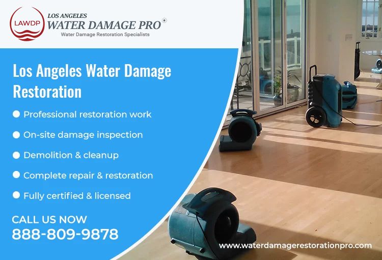 Los Angeles Water Damage Restoration