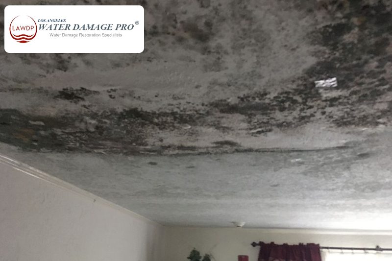 Theater Water Damage Restoration Insurance Claims