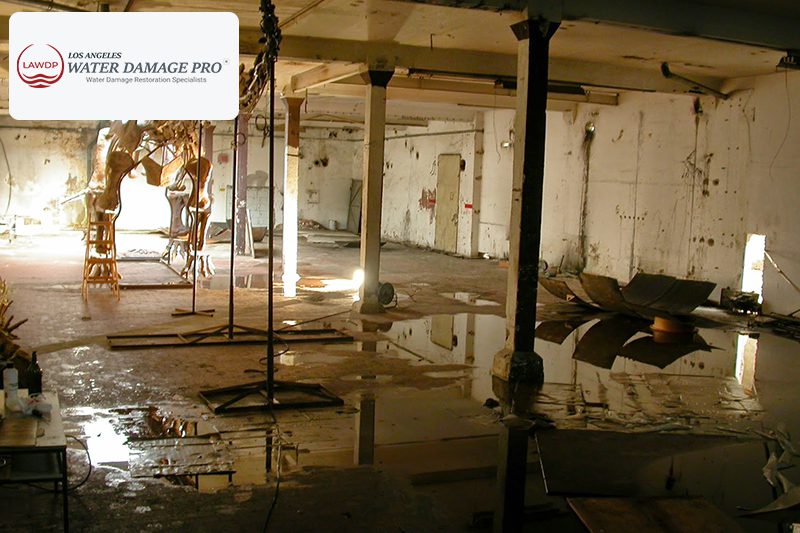 Water Damage Restoration In Warehouse