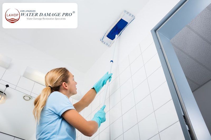 Emergency Basements With Low Ceilings Sewage Backup Cleanup Services