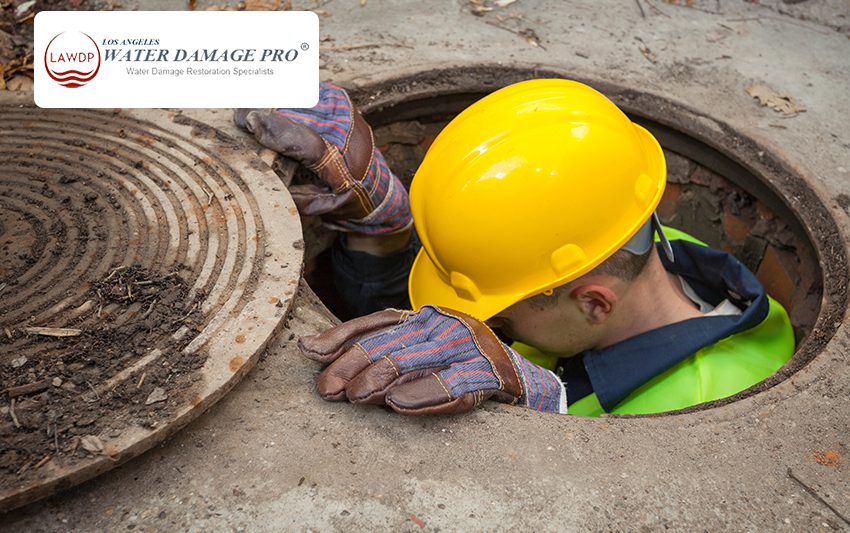 Emergency Sewer Backup Cleanup Services