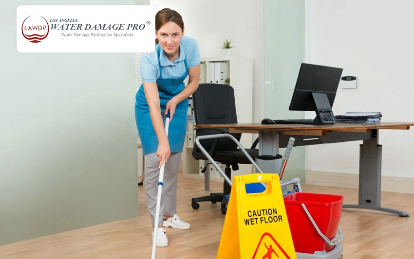 Home Offices Sewage Cleanup Insurance Claims