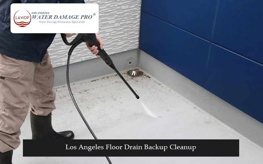 Los Angeles Floor Drain Backup Cleanup