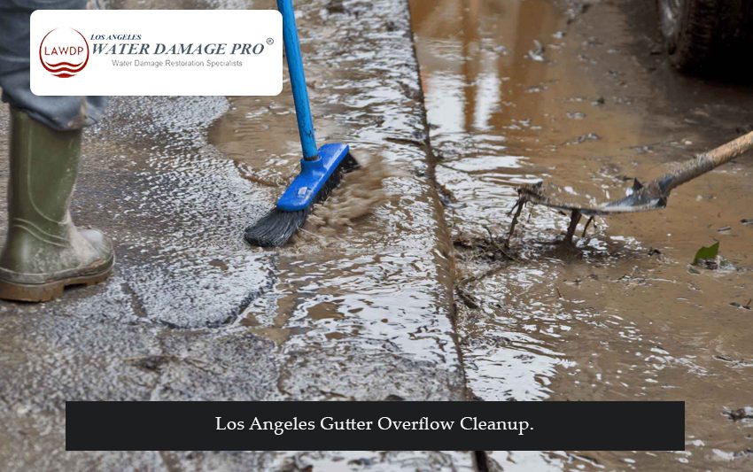 Los Angeles Gutter Overflow Cleanup.