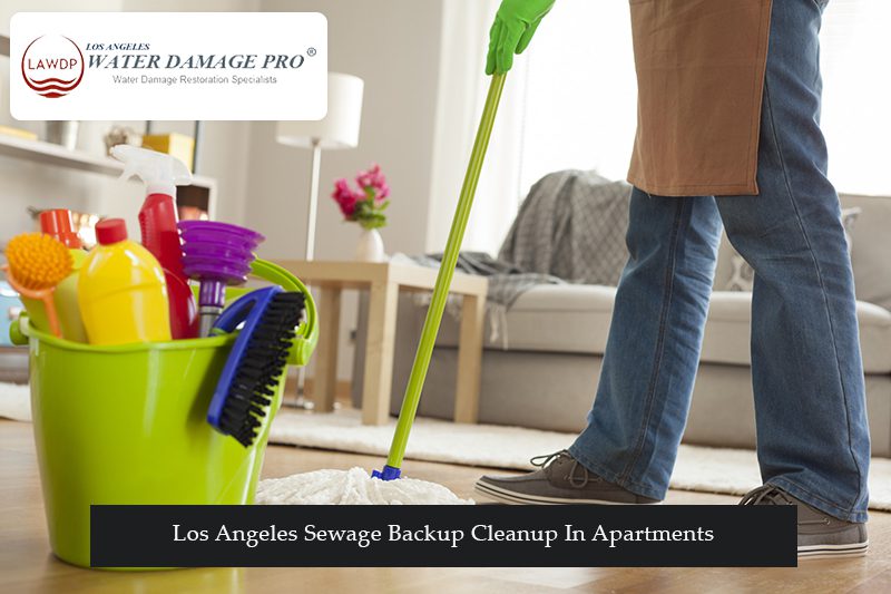 Los Angeles Sewage Backup Cleanup In Apartments