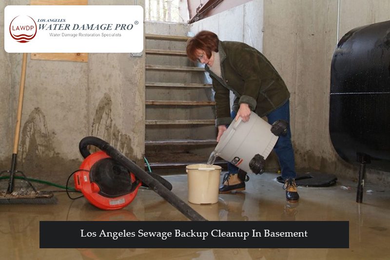 Los Angeles Sewage Backup Cleanup In Basement