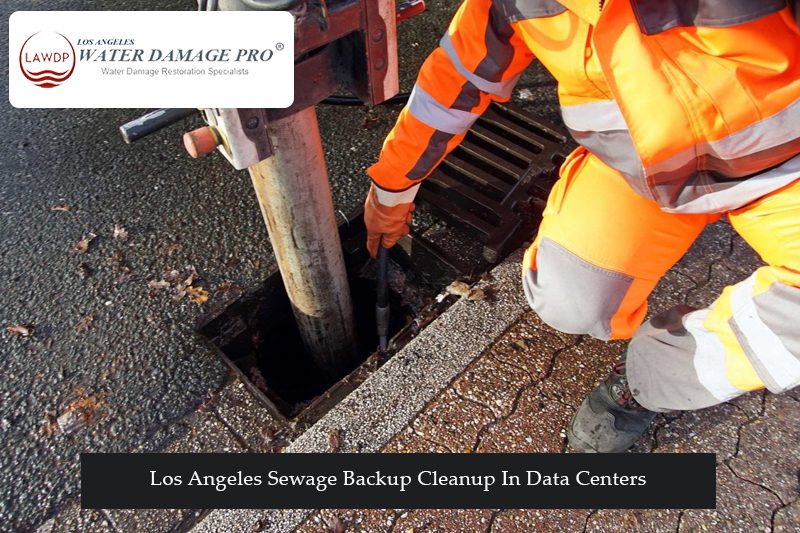 Los Angeles Sewage Backup Cleanup In Data Centers