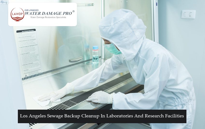 Los Angeles Sewage Backup Cleanup In Laboratories And Research Facilities