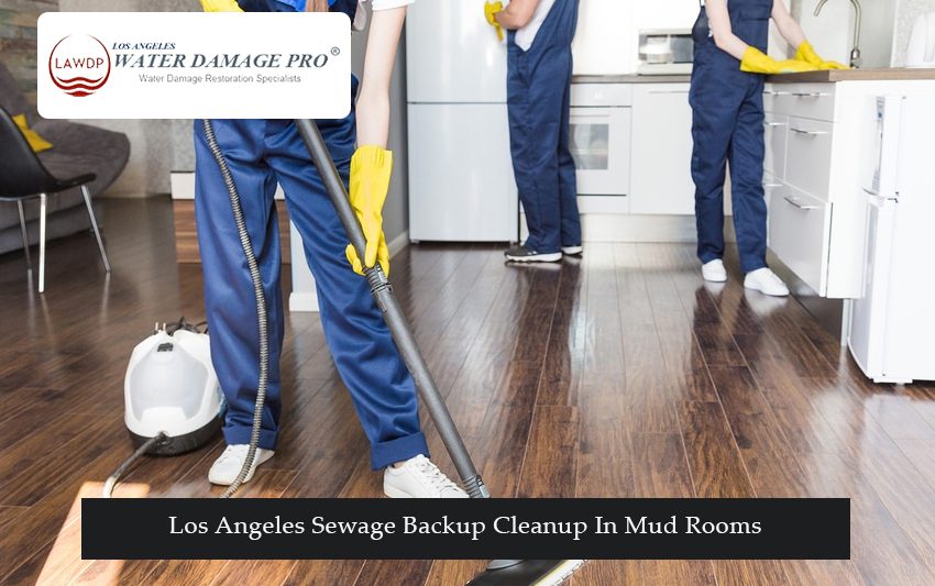 Los Angeles Sewage Backup Cleanup In Mud Rooms