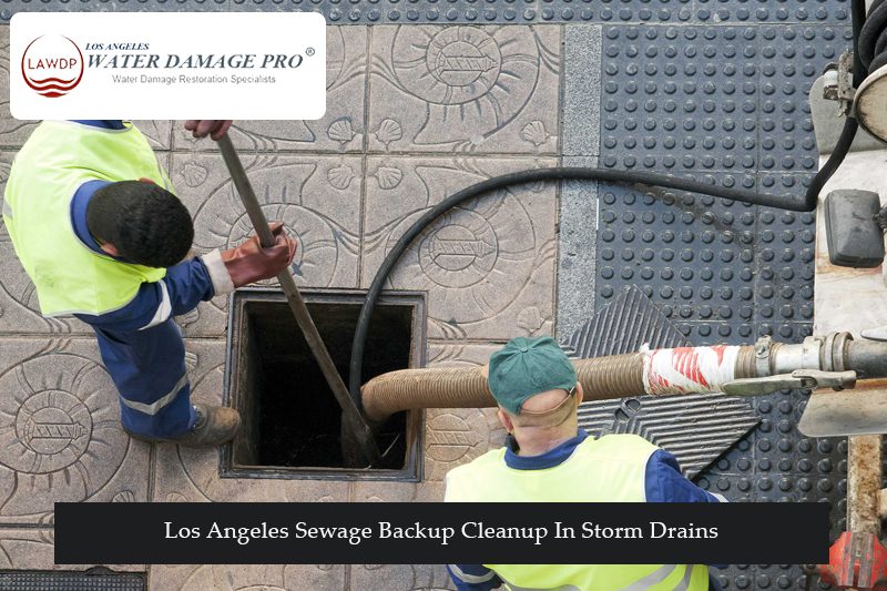 Los Angeles Sewage Backup Cleanup In Storm Drains