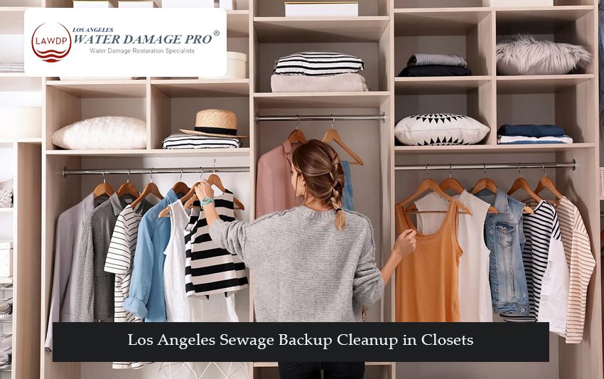 Los Angeles Sewage Backup Cleanup in Closets