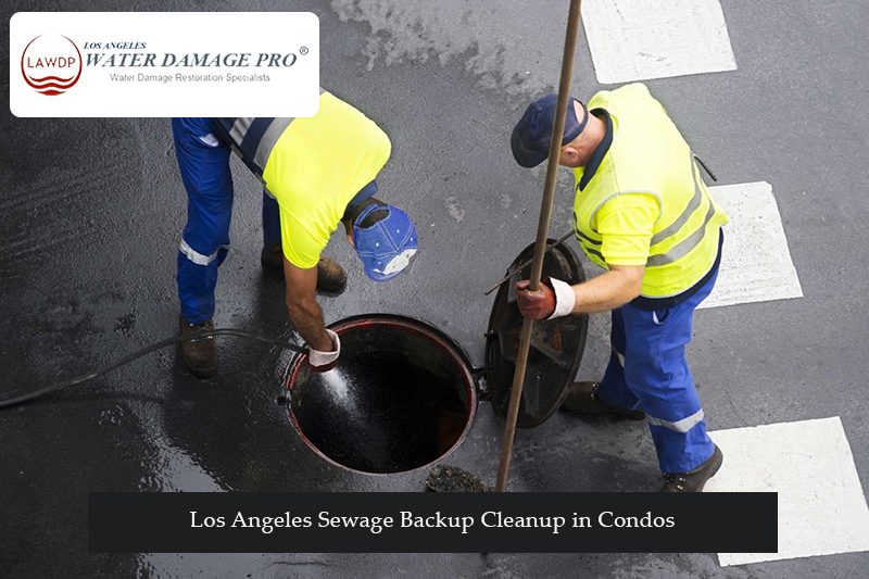 Los Angeles Sewage Backup Cleanup in Condos