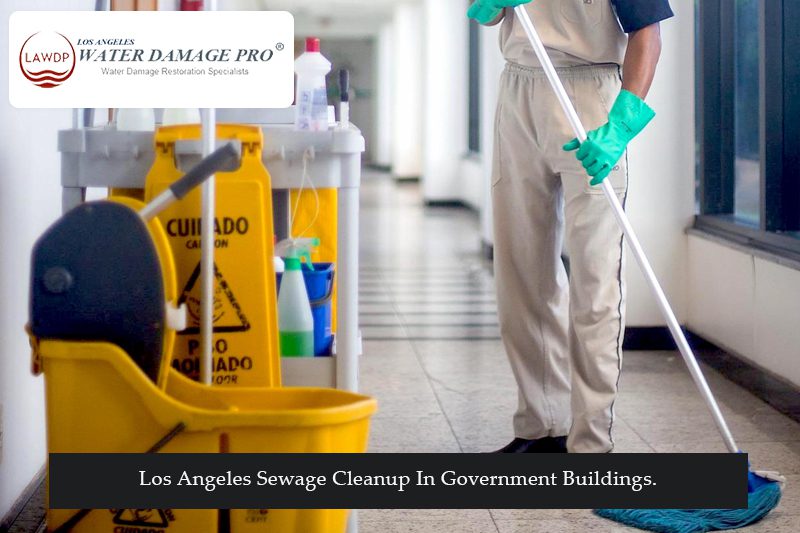 Los Angeles Sewage Cleanup In Government Buildings