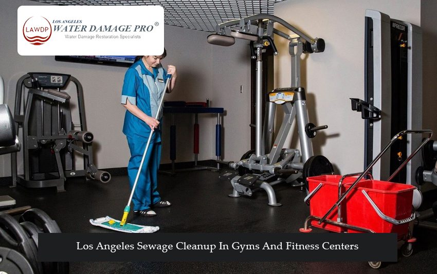 Los Angeles Sewage Cleanup In Gyms And Fitness Centers