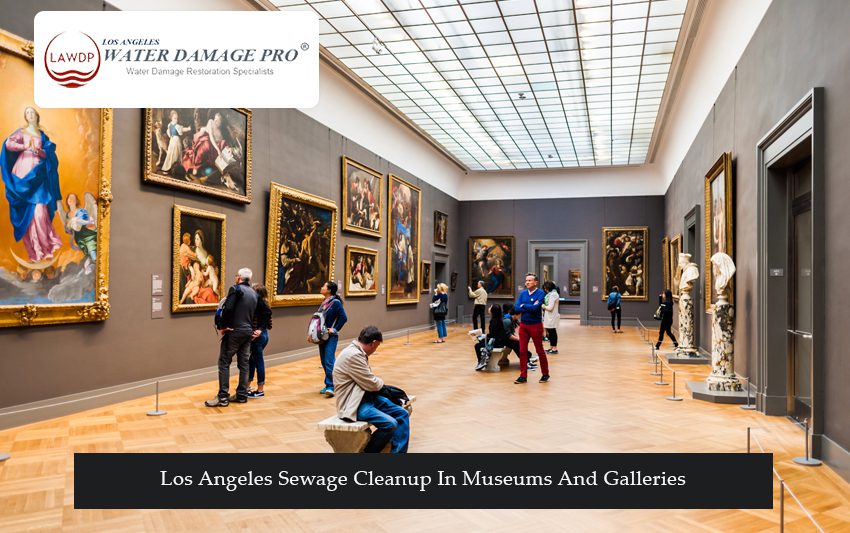 Los Angeles Sewage Cleanup In Museums And Galleries
