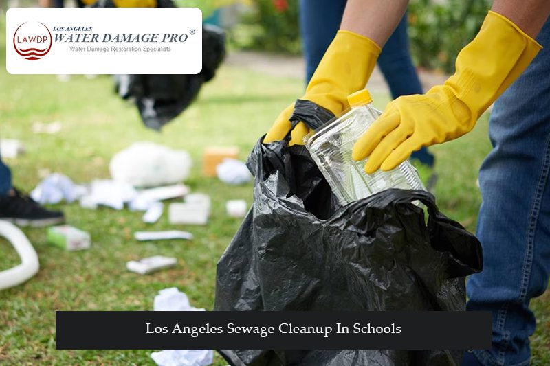 Los Angeles Sewage Cleanup In Schools