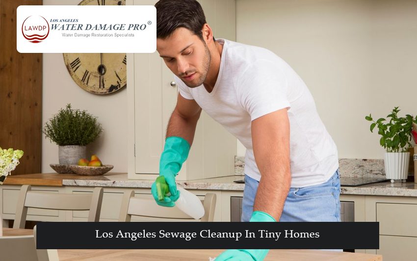 Los Angeles Sewage Cleanup In Tiny Homes