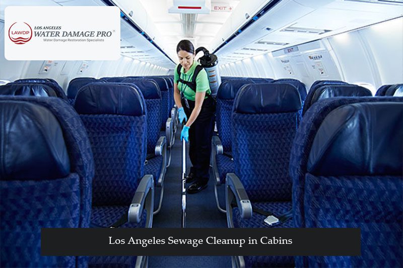 Los Angeles Sewage Cleanup in Cabins