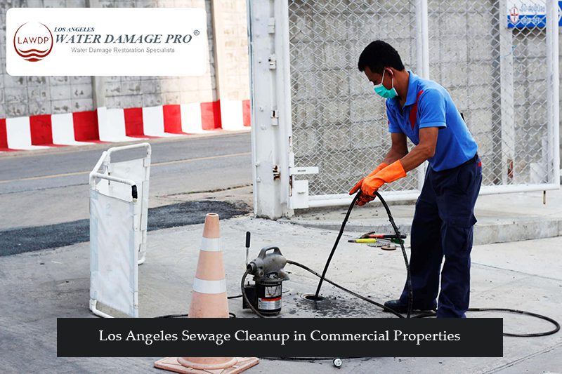 Los Angeles Sewage Cleanup in Commercial Properties