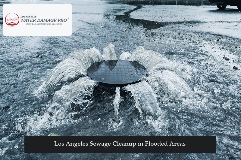 Los Angeles Sewage Cleanup in Flooded Areas