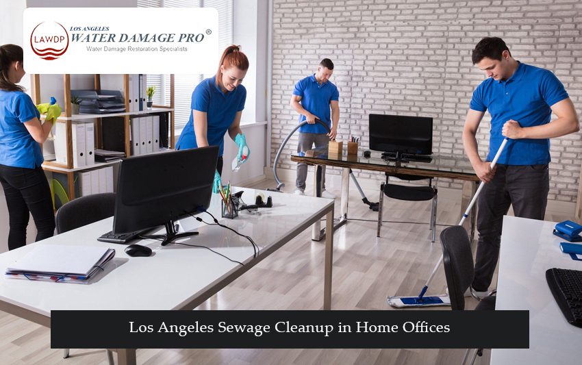 Los Angeles Sewage Cleanup in Home Offices