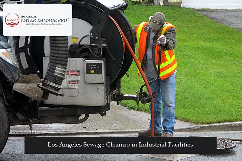 Los Angeles Sewage Cleanup in Industrial Facilities
