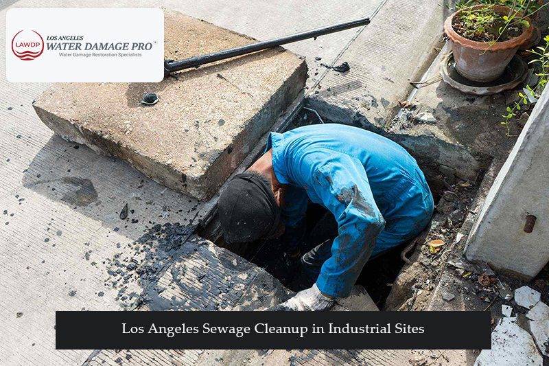 Los Angeles Sewage Cleanup in Industrial Sites