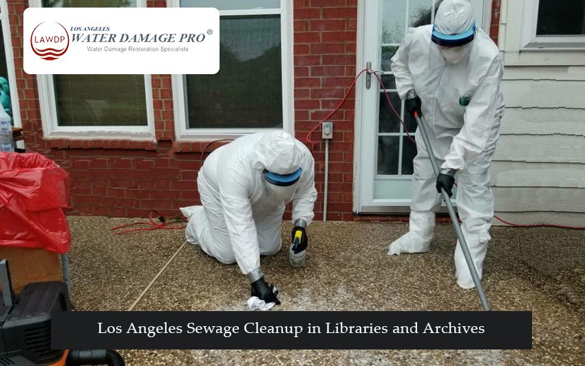Los Angeles Sewage Cleanup in Libraries and Archives