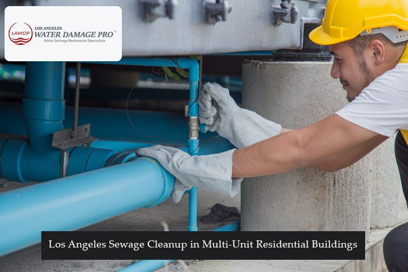 Los Angeles Sewage Cleanup in Multi-Unit Residential Buildings