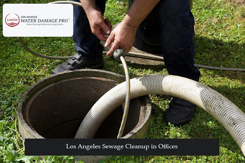 Los Angeles Sewage Cleanup in Offices