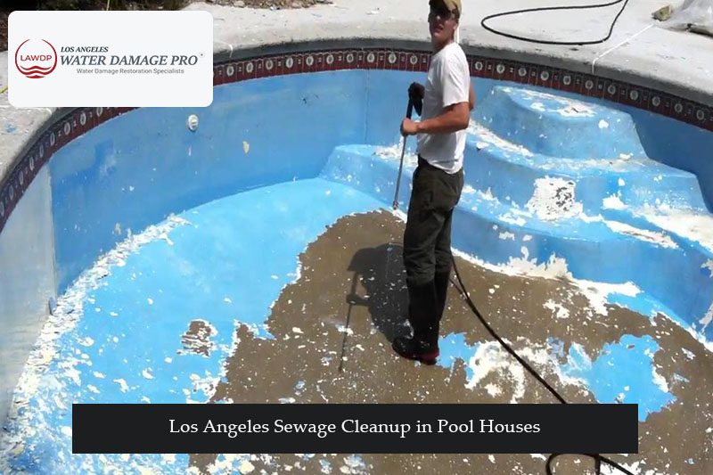 Los Angeles Sewage Cleanup in Pool Houses